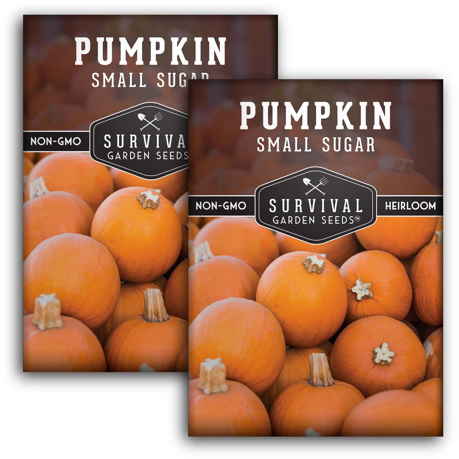 Pumpkin-Small-Sugar-01.2.jpg
