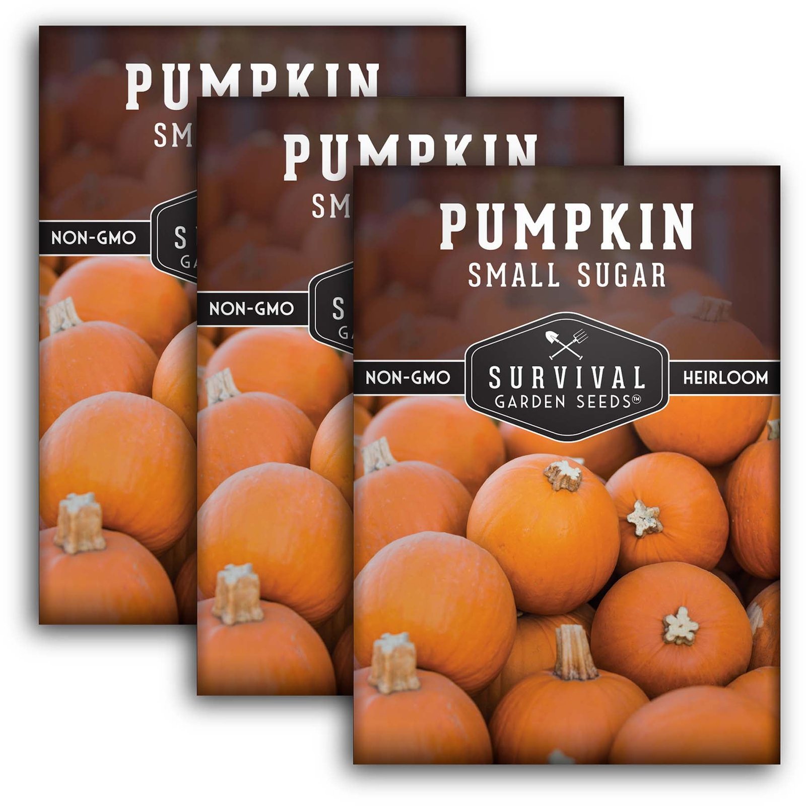 Pumpkin-Small-Sugar-01.3.jpg