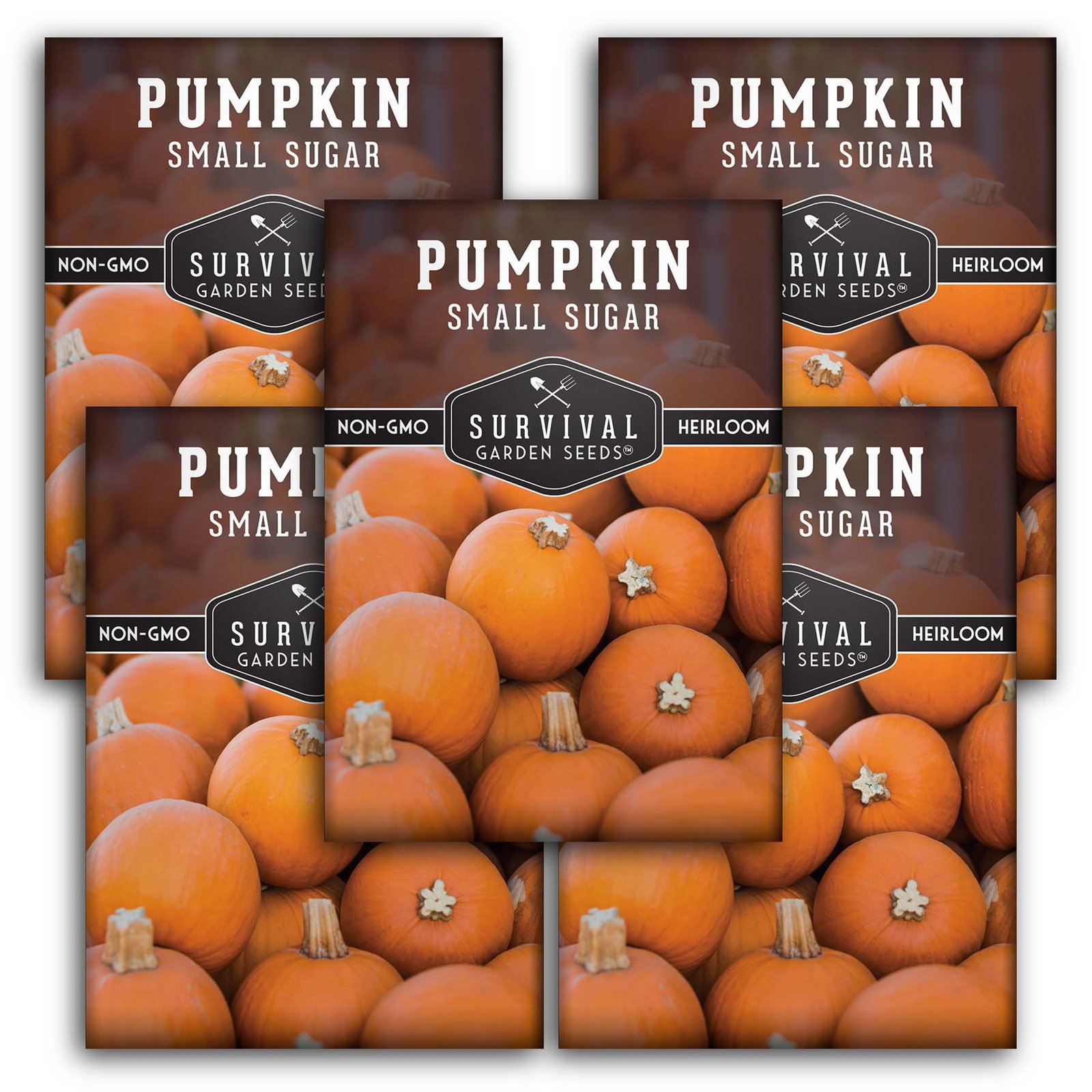 Pumpkin-Small-Sugar-01.5.jpg