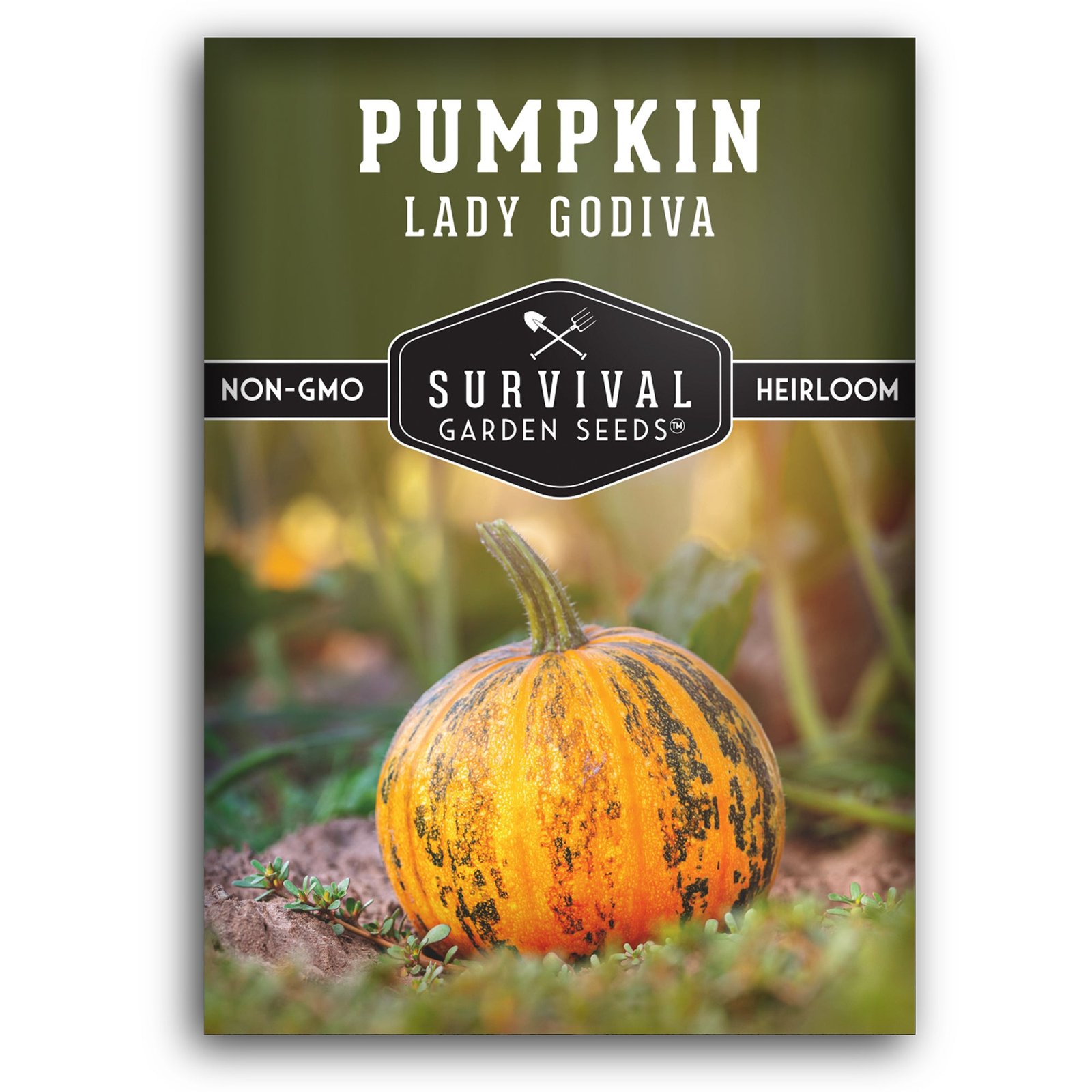 Pumpkin_-Lady-Godiva-01.jpg