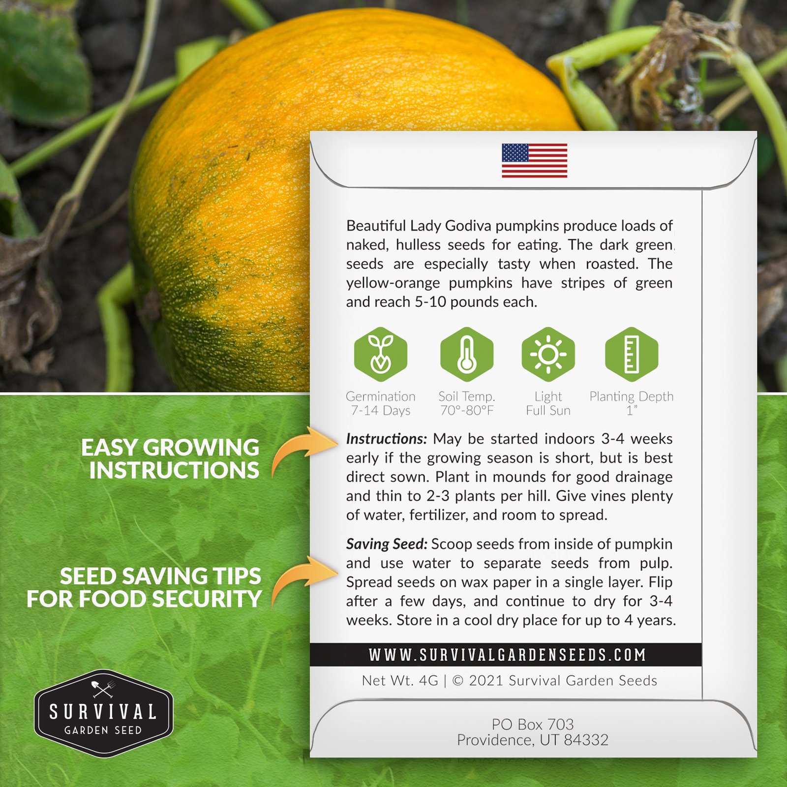 Pumpkin_-Lady-Godiva-02.jpg