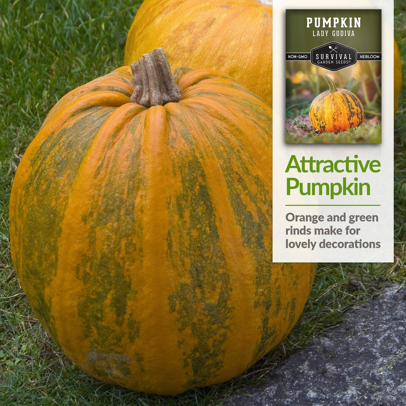 Pumpkin_-Lady-Godiva-04-1.jpg