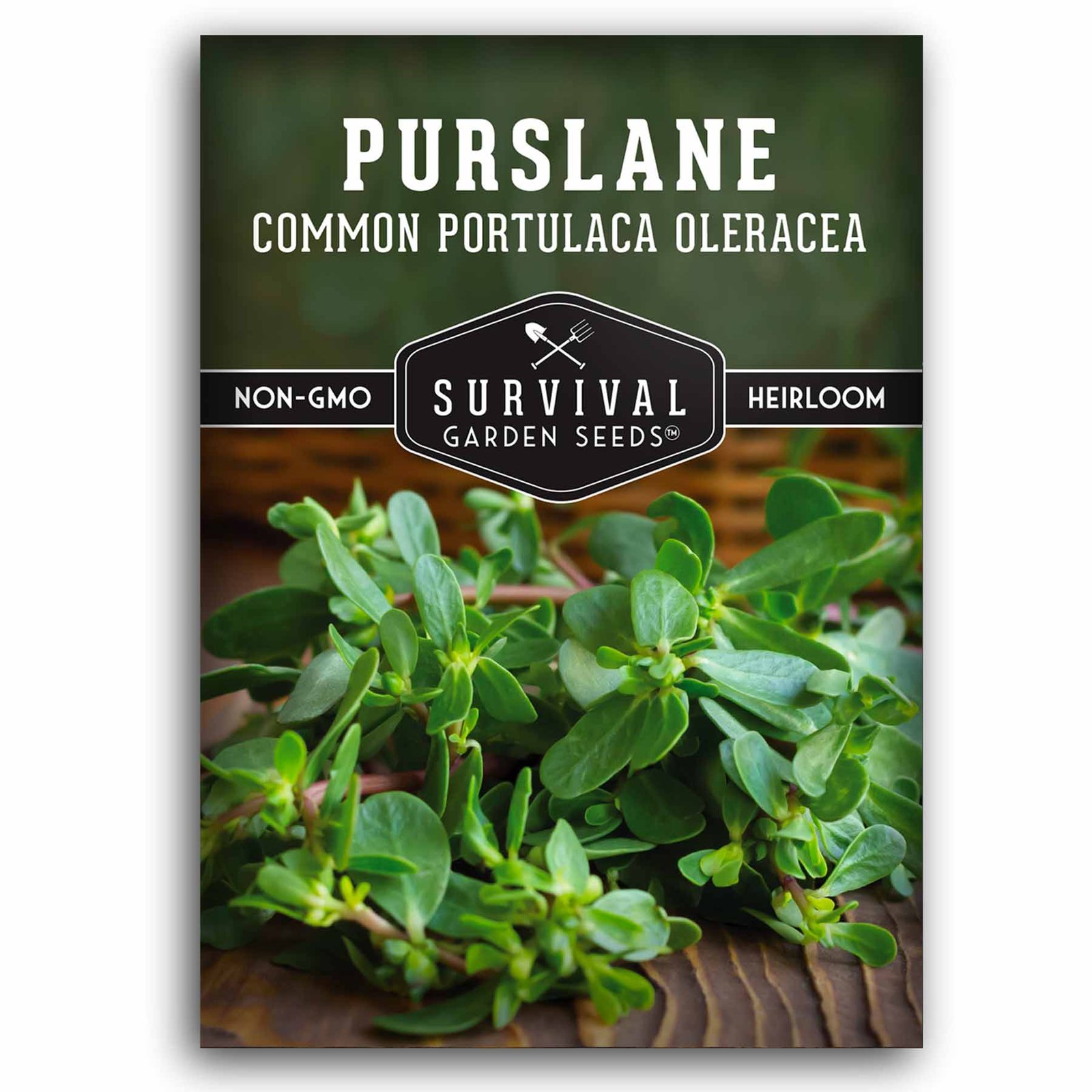 Purslane-01.1.jpg