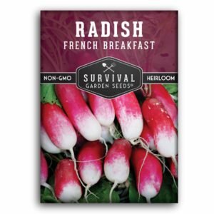 French Breakfast Radish Seeds – Heirloom Red-and-White Variety for Spring & Fall Gardens