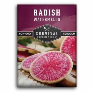 Watermelon Radish Seeds – Heirloom Daikon-Type Variety with Sweet Mild Flavor & Vivid Pink Interior
