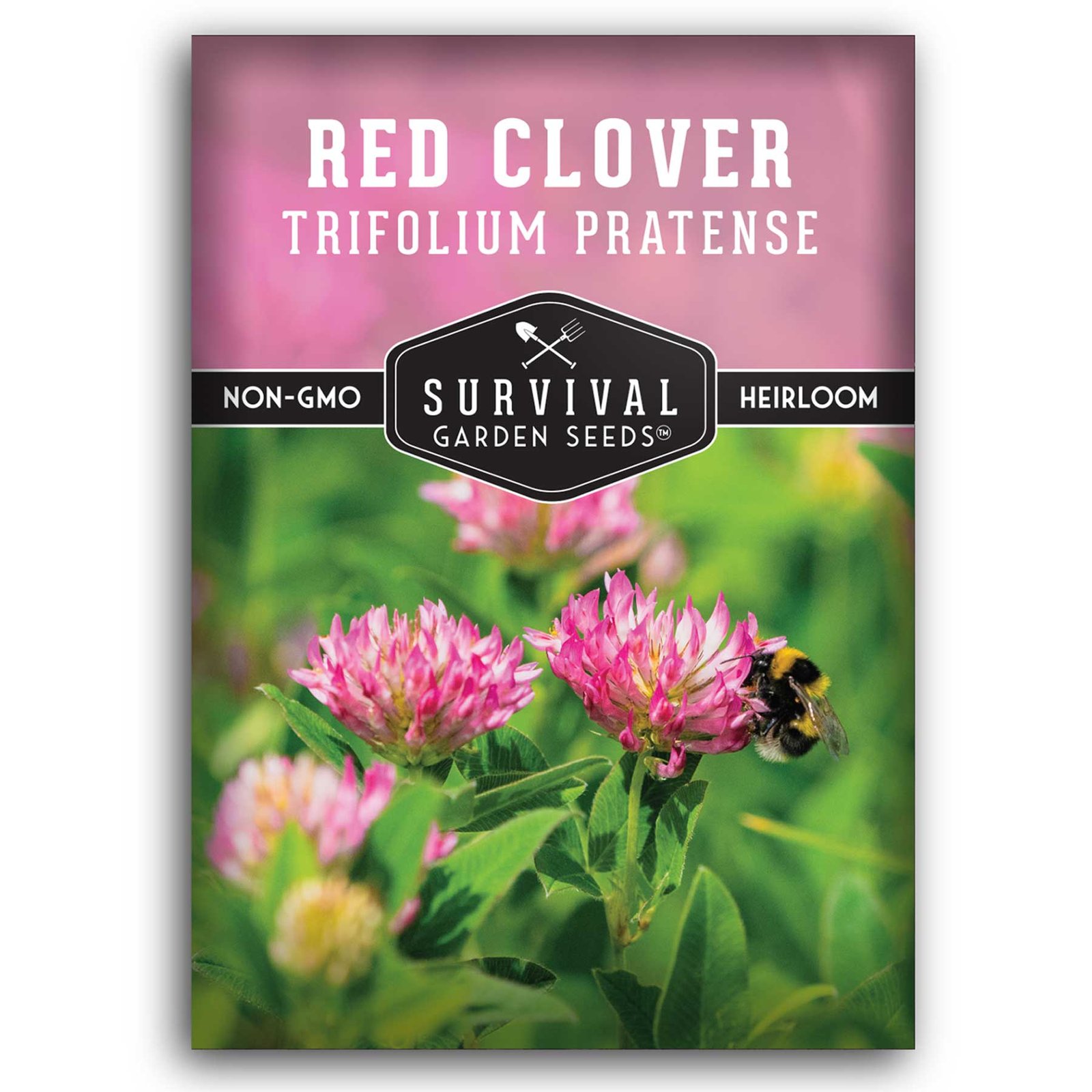 RedClover-1.jpg