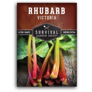 Victoria Rhubarb Seeds – Heirloom Perennial for Cool Climates