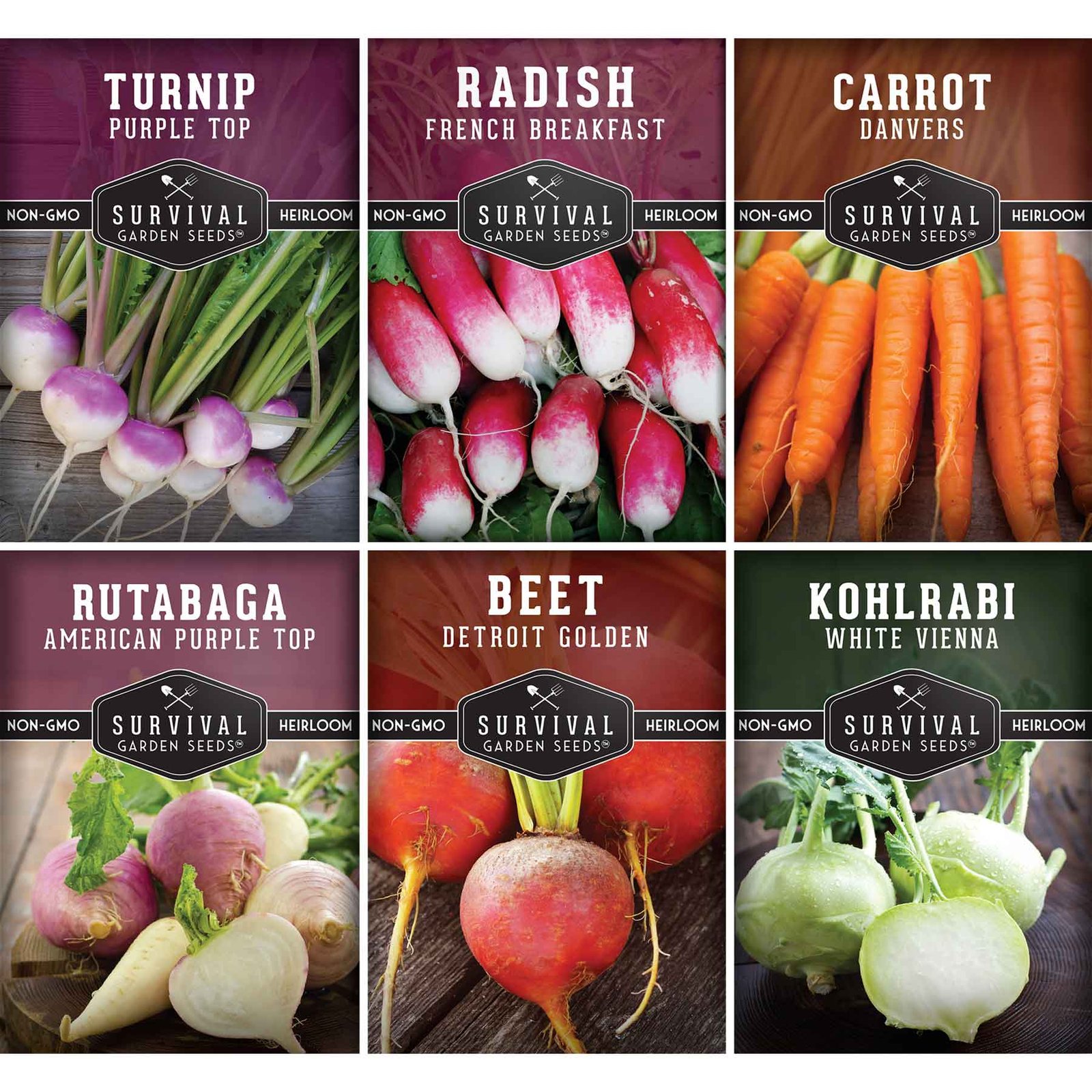 Root-Collection-01.jpg