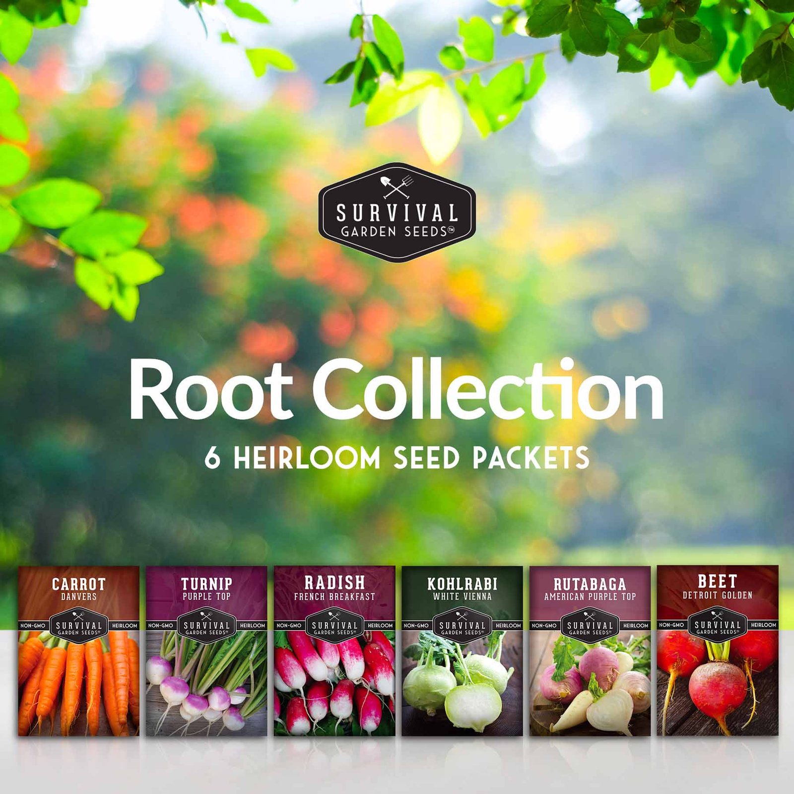 Root-Collection-02.jpg
