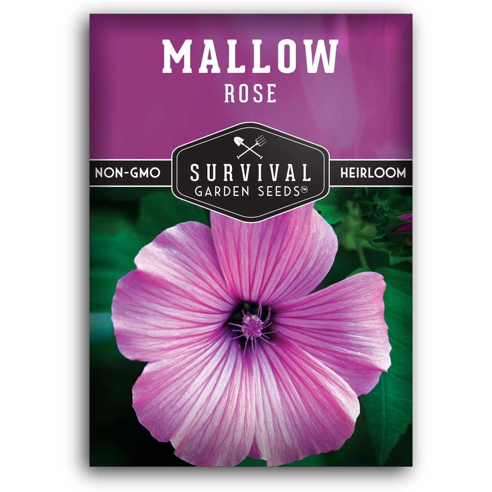 Rose-Mallow-01.jpg