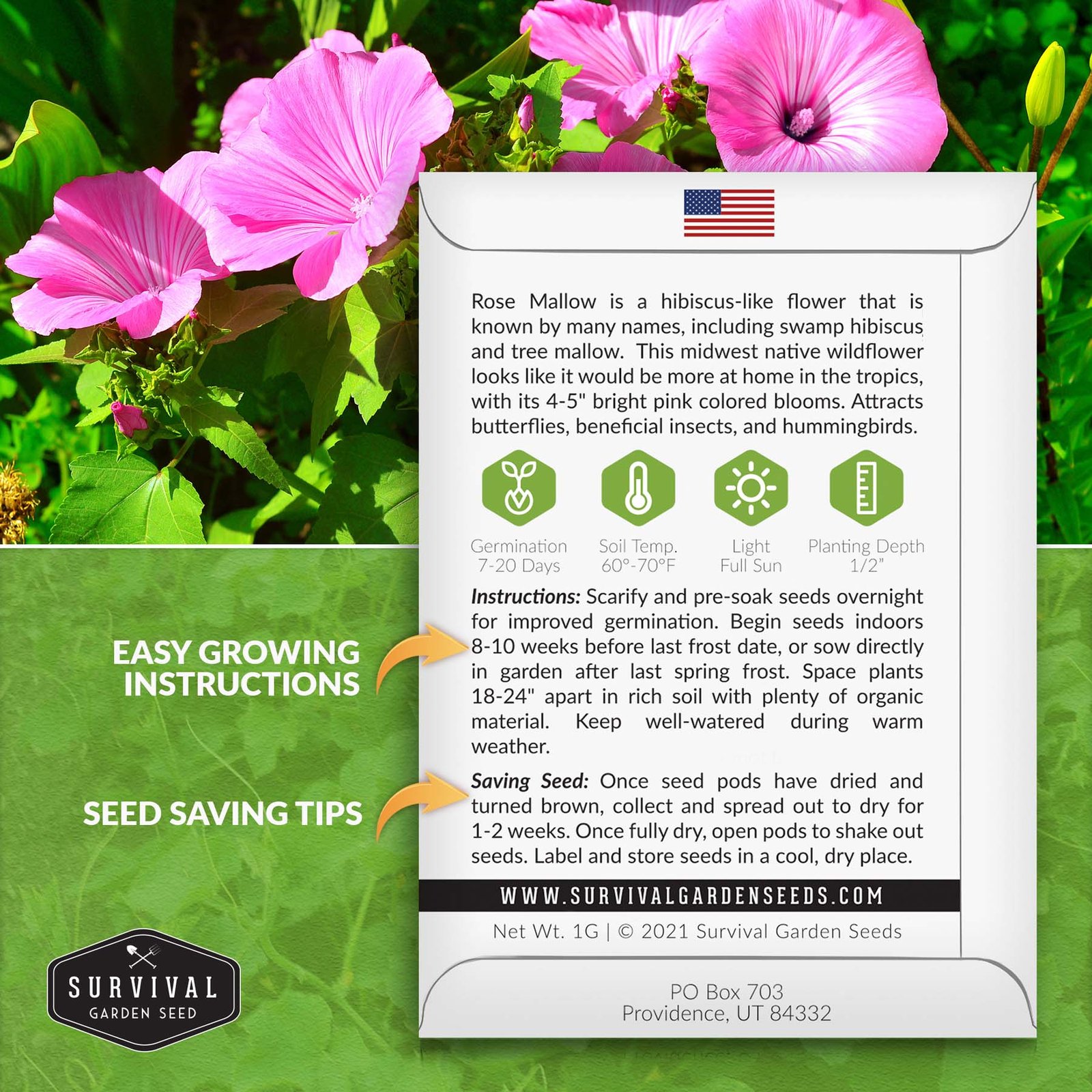 Rose-Mallow-02.jpg