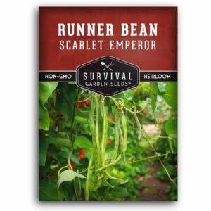 Scarlet Emperor Runner Bean Seeds – Ornamental Heirloom Vines with High-Yield Edible Pods & Scarlet Blooms