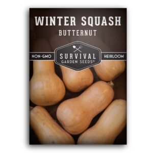 Butternut Squash Seeds – Heirloom Winter Squash for Long Storage, Soups & Roasting
