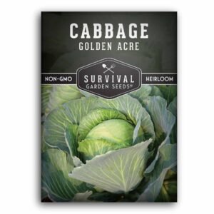 Golden Acre Cabbage Seeds – Heirloom Non-GMO, Early-Maturing Compact Green Cabbage for Spring & Fall Gardens