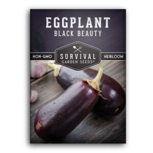 Black Beauty Eggplant Seeds – Classic Heirloom Variety for Tender, Flavorful Harvests