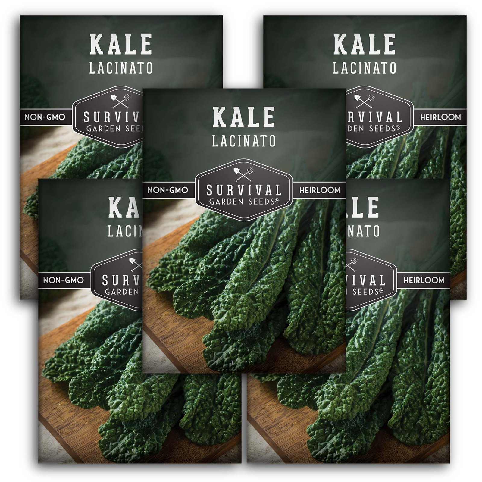 SGS-A-Kale-Lacinato_5.jpg