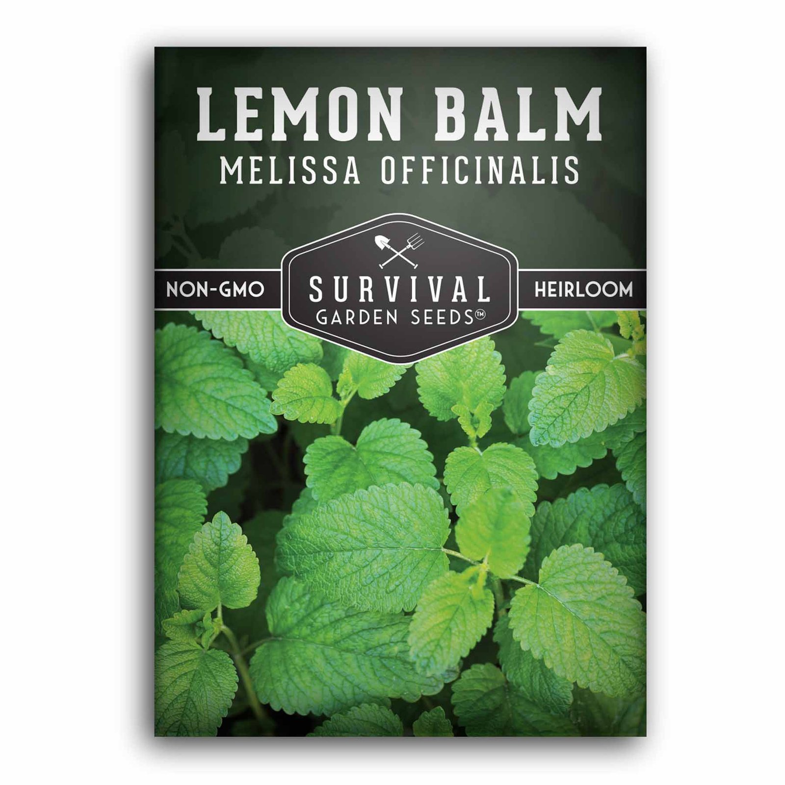 SGS-A-Lemon-Balm_1.jpg