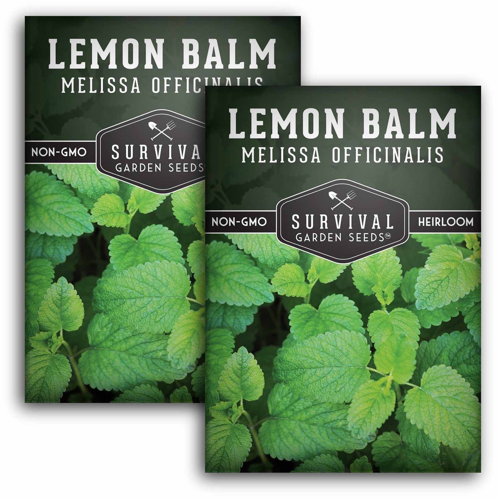 SGS-A-Lemon-Balm_2.jpg