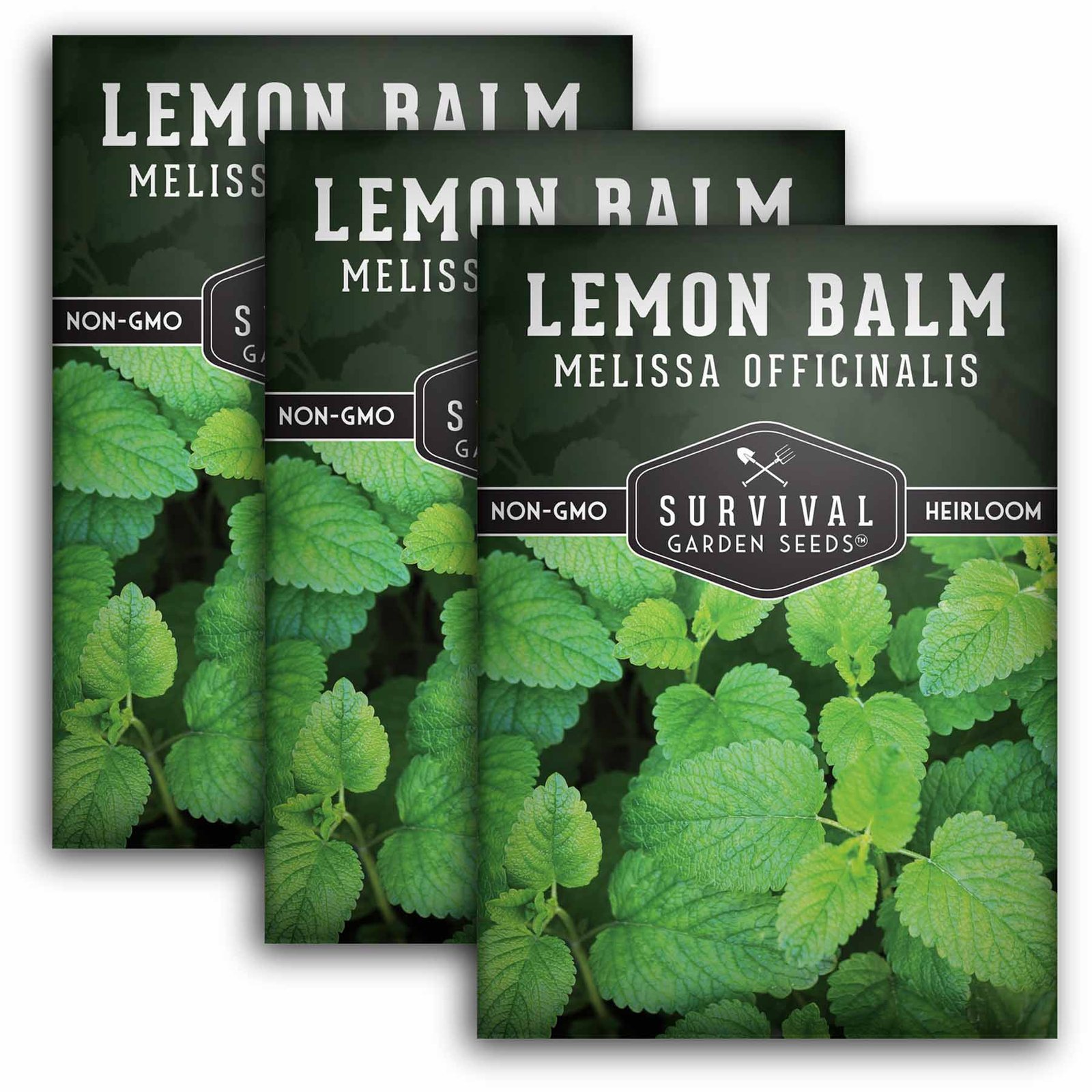 SGS-A-Lemon-Balm_3.jpg