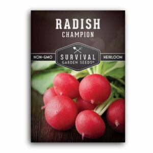 Champion Radish Seeds – Heirloom Non-GMO Variety for Fast Harvests, Crisp Flavor & Reliable Spring or Fall Gardens
