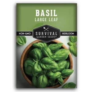 Large Leaf Basil Seeds – Sweet Italian Variety with Big, Aromatic Leaves & Extended Harvest