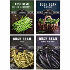 Bush Bean Seeds Collection – 4 Heirloom Snap Varieties for Raised Beds & Small Gardens