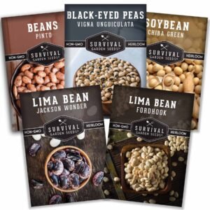 Dry Bean Seeds Collection – 5 Heirloom Varieties for Shelling, Drying & Long-Term Storage