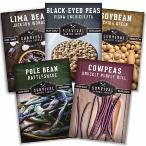 Hot Weather Bean Seed Collection – 5 Heirloom Heat-Tolerant Varieties for Southern & Long Summer Gardens