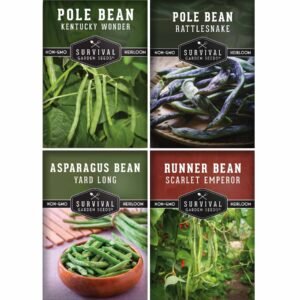 Pole Bean Seed Collection – 4 Heirloom Climbing Varieties for Trellises & Vertical Gardens