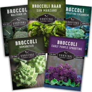 Broccoli Seed Collection – 5 Heirloom Varieties for Cool-Season Gardens