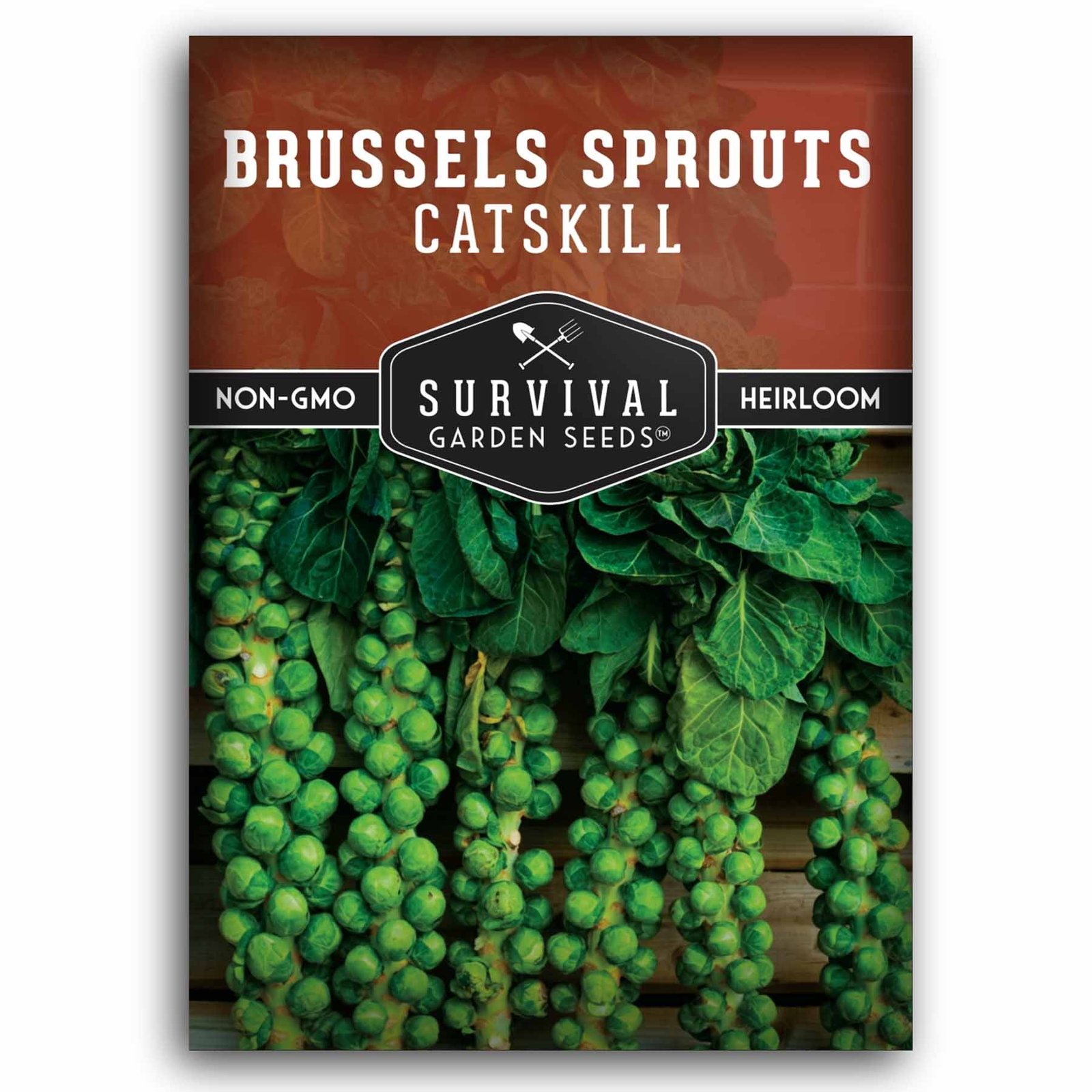 SGSBrusselsSproutsCatskill_1.1.jpg