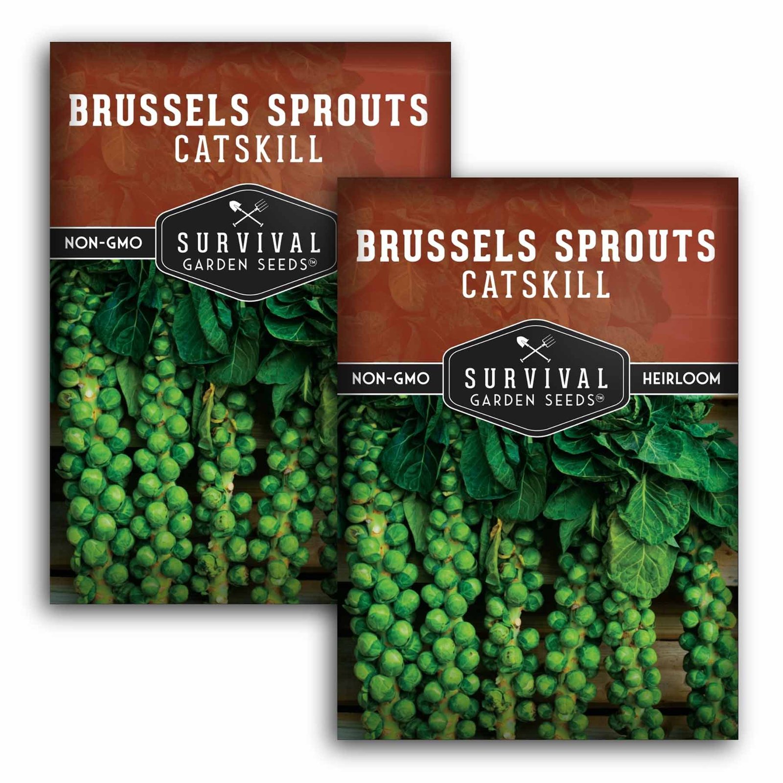 SGSBrusselsSproutsCatskill_1.2.jpg