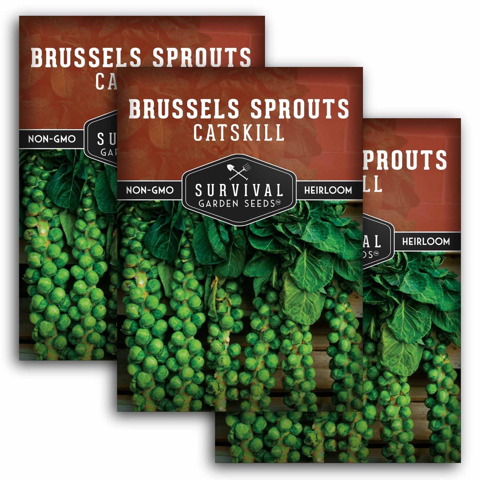 SGSBrusselsSproutsCatskill_1.3.jpg
