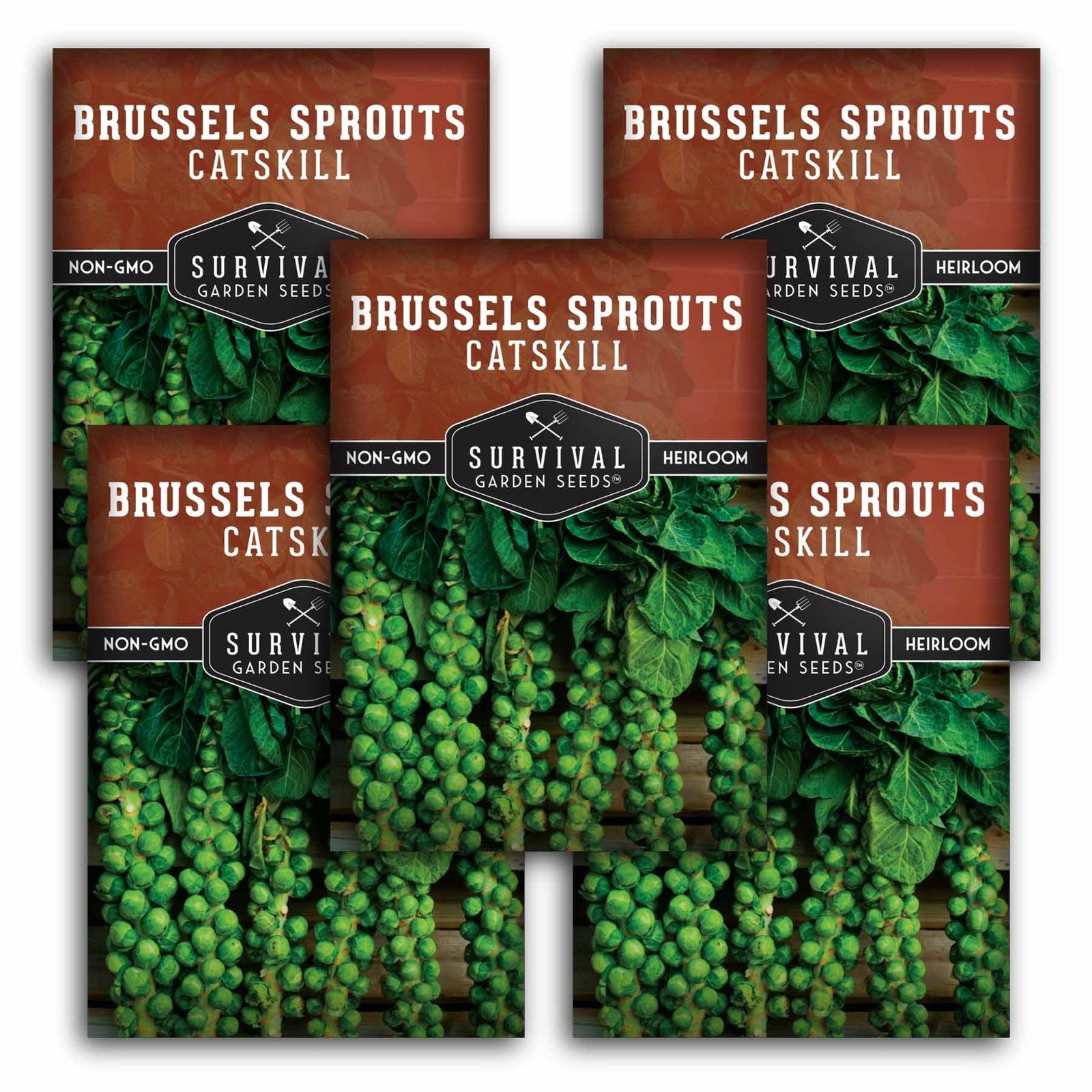 SGSBrusselsSproutsCatskill_1.5.jpg