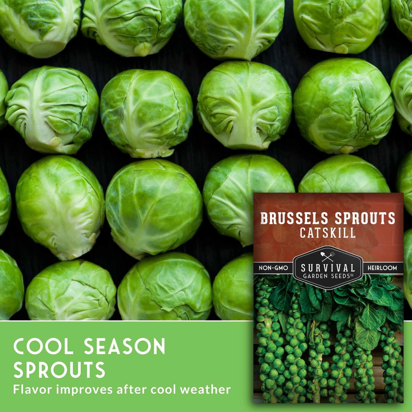 SGSBrusselsSproutsCatskill_5.jpg