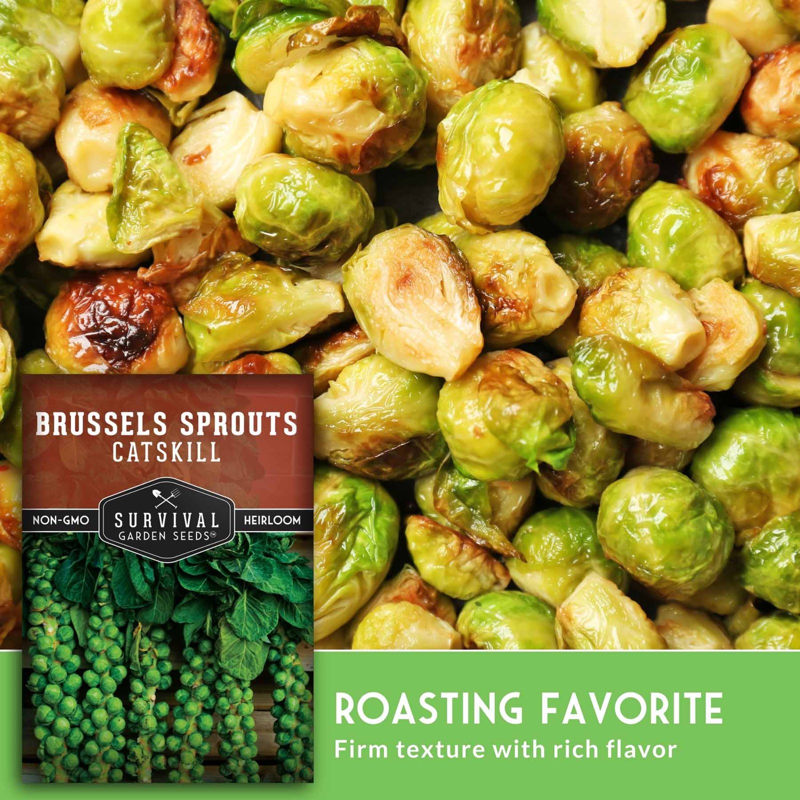 SGSBrusselsSproutsCatskill_6.jpg