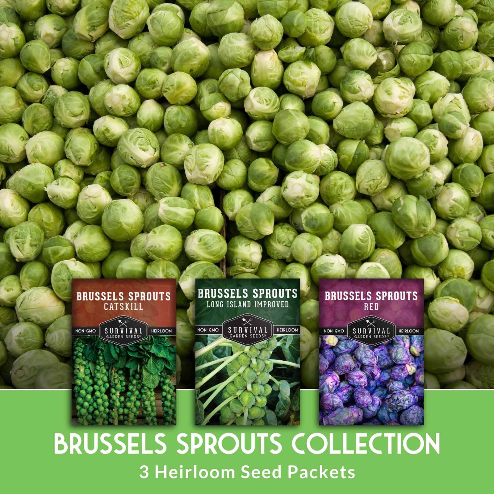 SGSBrusselsSproutsCollection_3.jpg