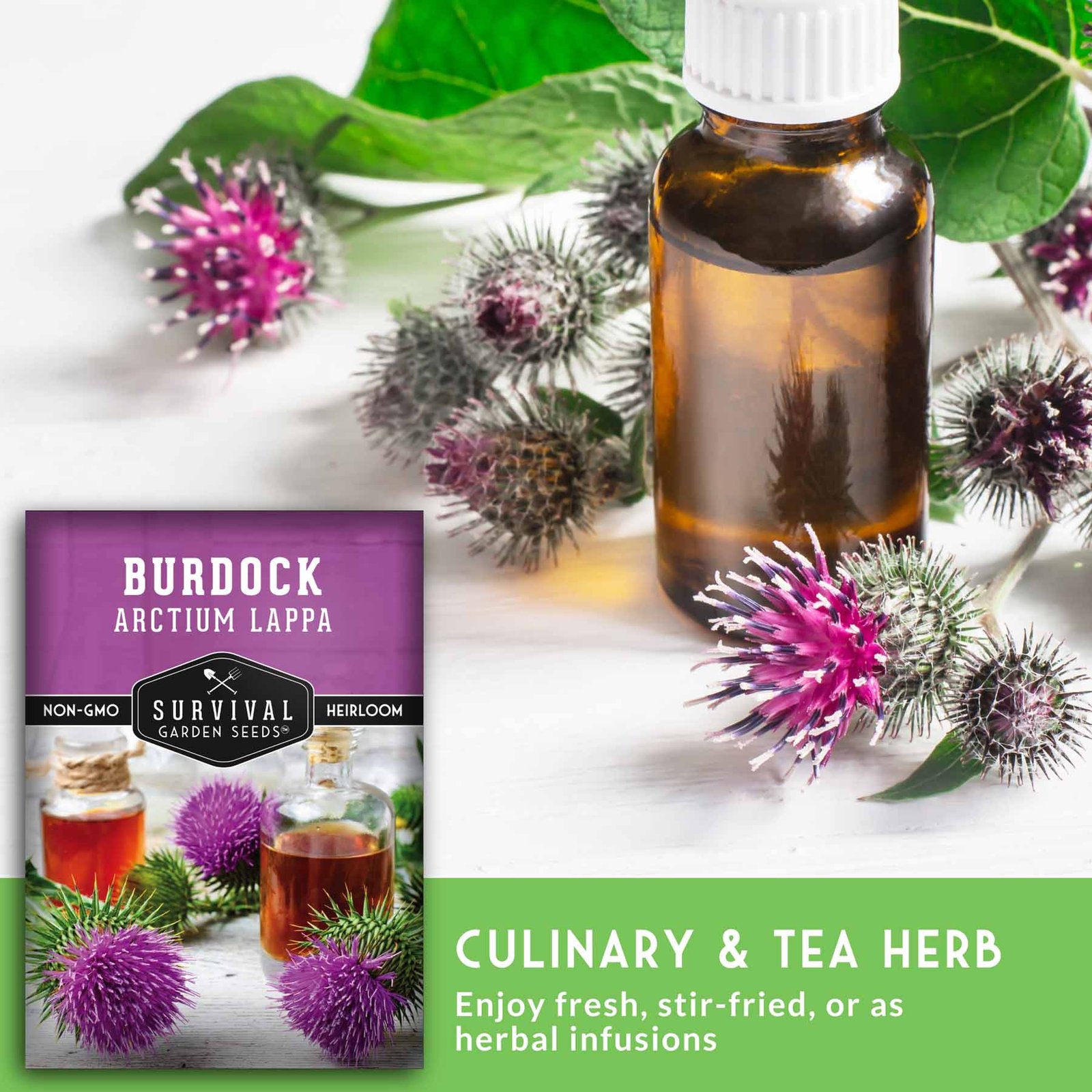 SGSBurdock_4.jpg
