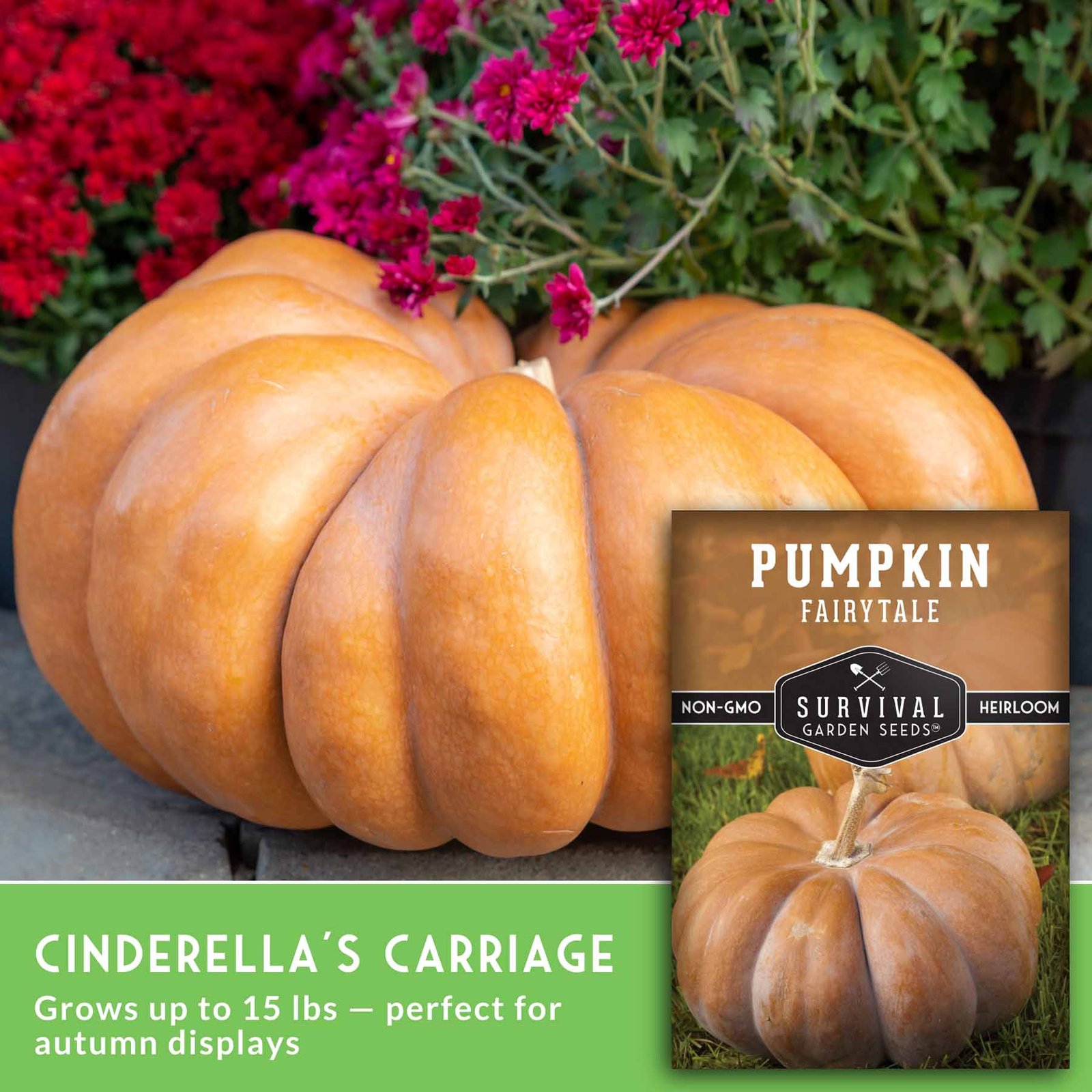 SGSFairyTalePumpkin_3.jpg