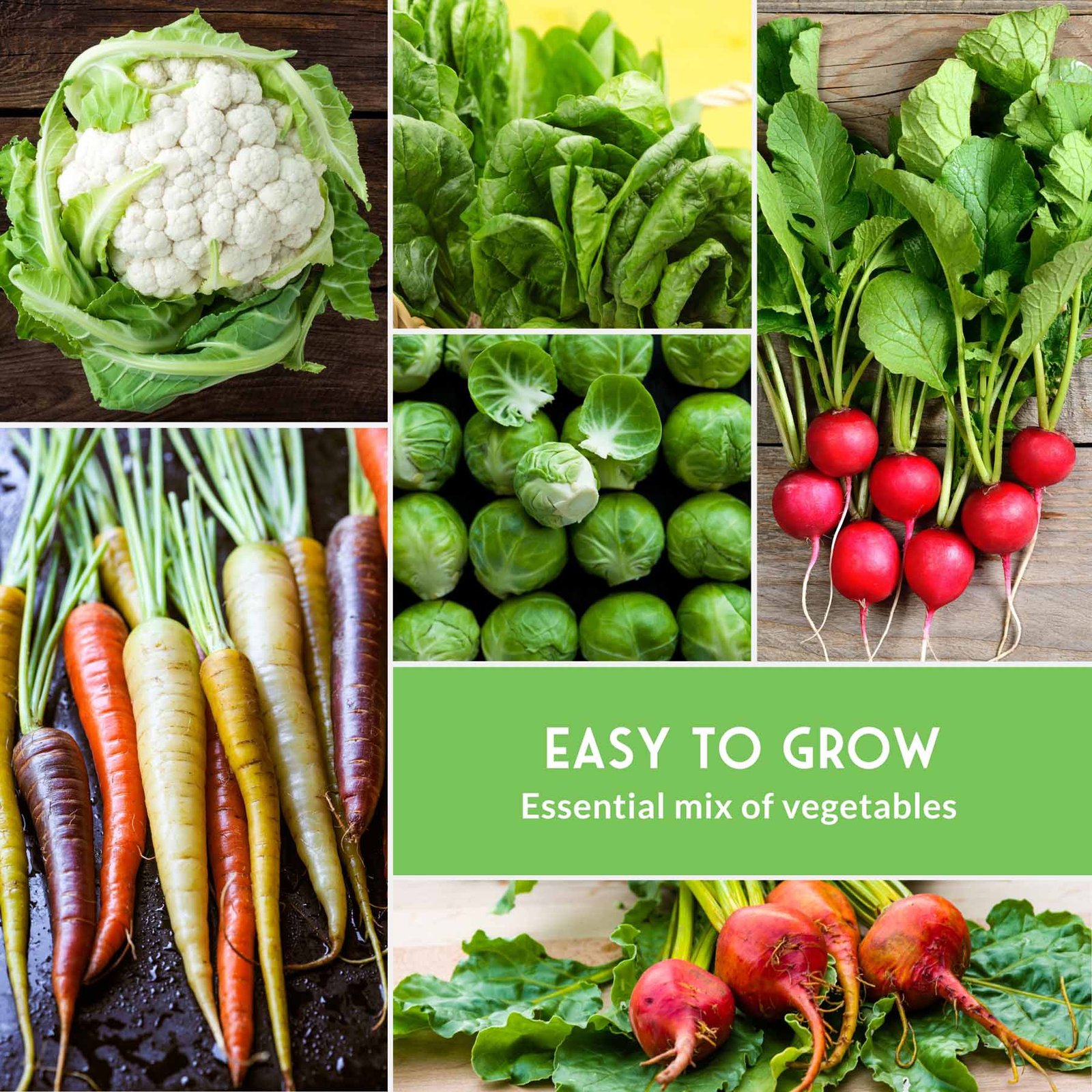 SGSFallGardenCollection_5.jpg