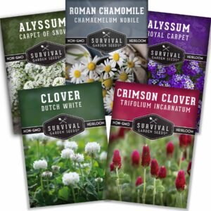 Flowering Ground Cover Seed Collection – Low-Growing Lawn Alternative Flowers for Pollinators & Landscaping