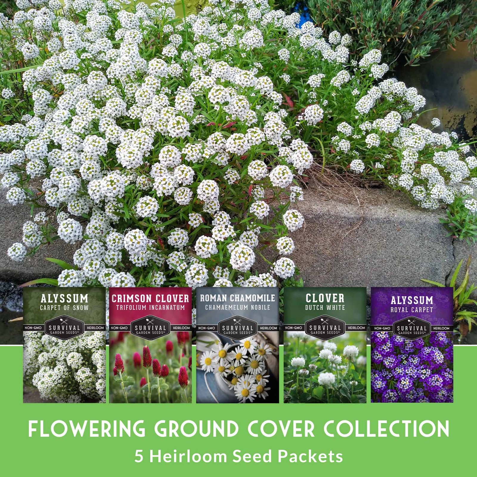 SGSFloweringGroundCoverCollection-03_83b16e2f-45c6-49f2-b0fd-99020b940cfa.jpg