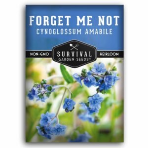 Forget-Me-Not Seeds – Blue Annual Flowers for Pollinators, Borders & Cut Gardens