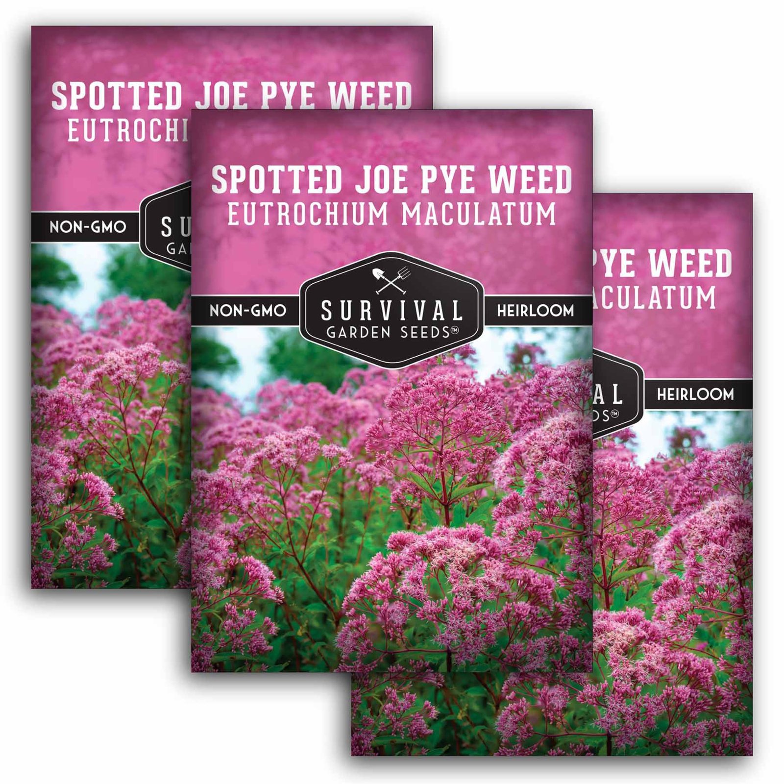 SGSJoePyeWeedSpotted1.3.jpg