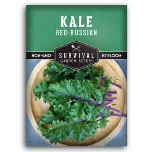 Red Russian Kale Seeds for Planting – Heirloom Cold-Hardy Kale – Sweet, Tender Oak-Leaf Greens for Gardens, Raised Beds & Containers