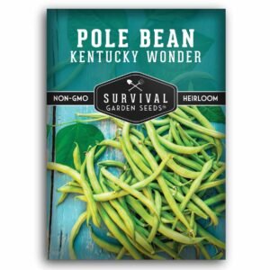 Kentucky Wonder Pole Bean Seeds – Classic Heirloom Snap Beans with Heavy Yields