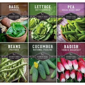 Kid’s Easy Garden Seed Collection – 6 Fast-Growing Vegetables & Herbs for Beginner Gardeners