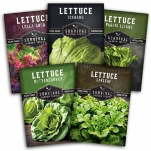 Lettuce Seed Collection – 5 Heirloom Varieties for Year-Round Harvest | Buttercrunch, Oakleaf, Lolla Rosa, Iceberg & Parris Island