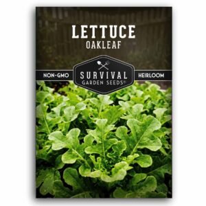 Oakleaf Lettuce Seeds – Heirloom Loose-Leaf Variety for Cool-Season Gardens