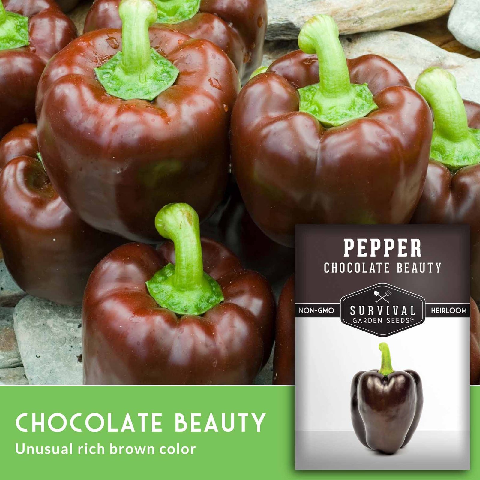 SGSPepperChocolateBeauty_3.jpg